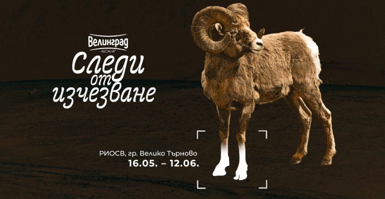 Screenshot_2025-05-16-15-27-08-539_com.microsoft.office.outlook-edit