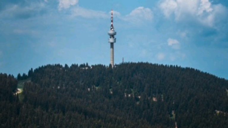 image_editor_output_image1658371575-1750425174701