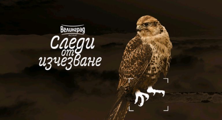 Screenshot_2025-06-17-13-18-08-36_45e686c594768066ad9911d54d96f72b