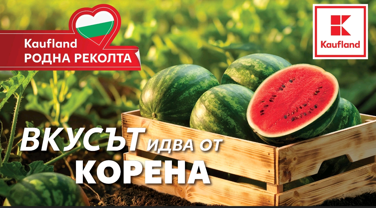 Screenshot_2025-08-11-17-17-57-27_45e686c594768066ad9911d54d96f72b