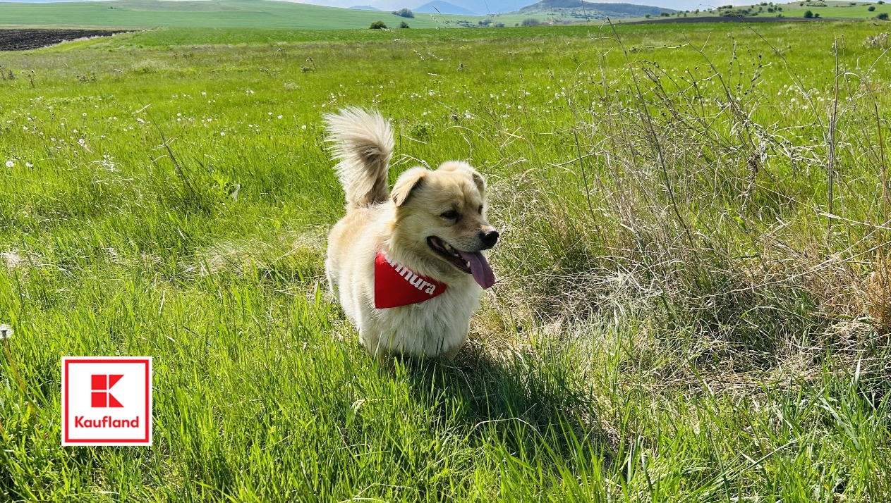 Screenshot_2025-08-26-16-45-43-57_45e686c594768066ad9911d54d96f72b