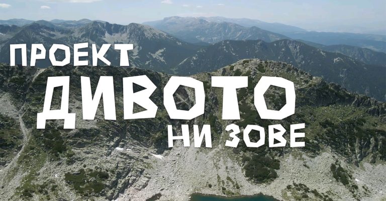 Screenshot_2025-11-19-17-03-56-79_45e686c594768066ad9911d54d96f72b