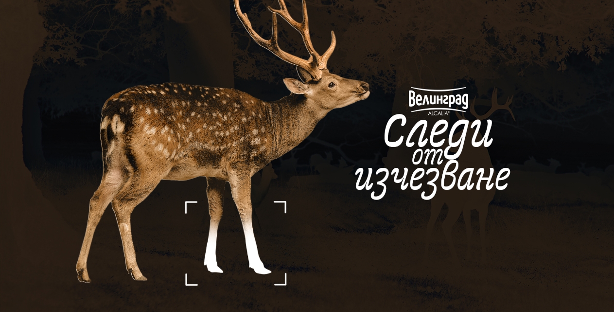 Screenshot_2025-12-01-20-32-47-24_e307a3f9df9f380ebaf106e1dc980bb6